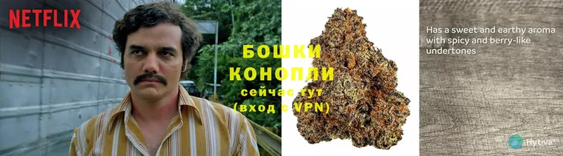 как найти закладки  Ульяновск  ссылка на мегу ССЫЛКА  Бошки марихуана THC 21% 